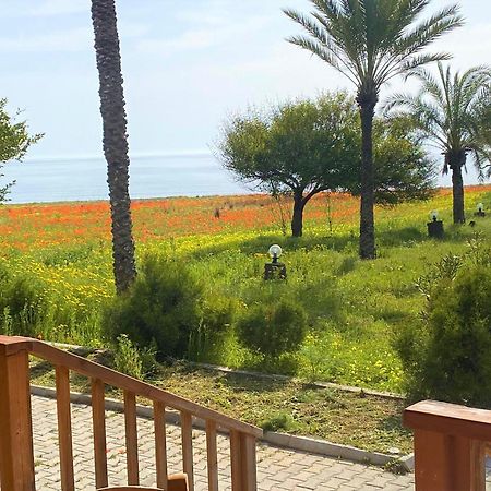 Paradise Karpaz Hotel & Restaurant Rizokarpaso Экстерьер фото