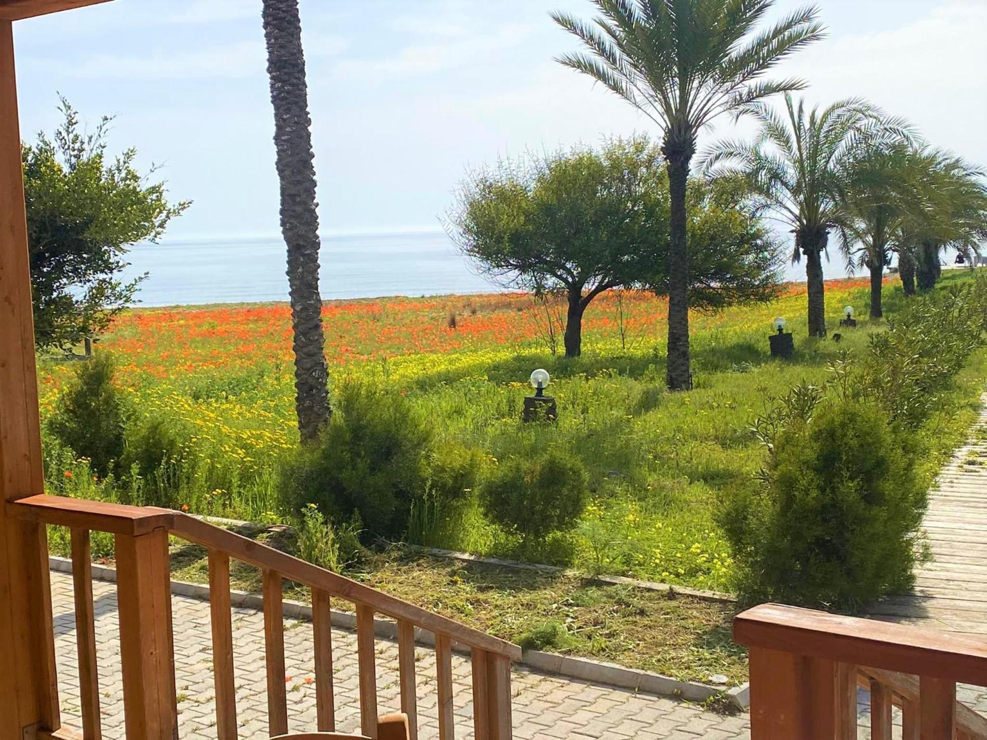 Paradise Karpaz Hotel & Restaurant Rizokarpaso Экстерьер фото